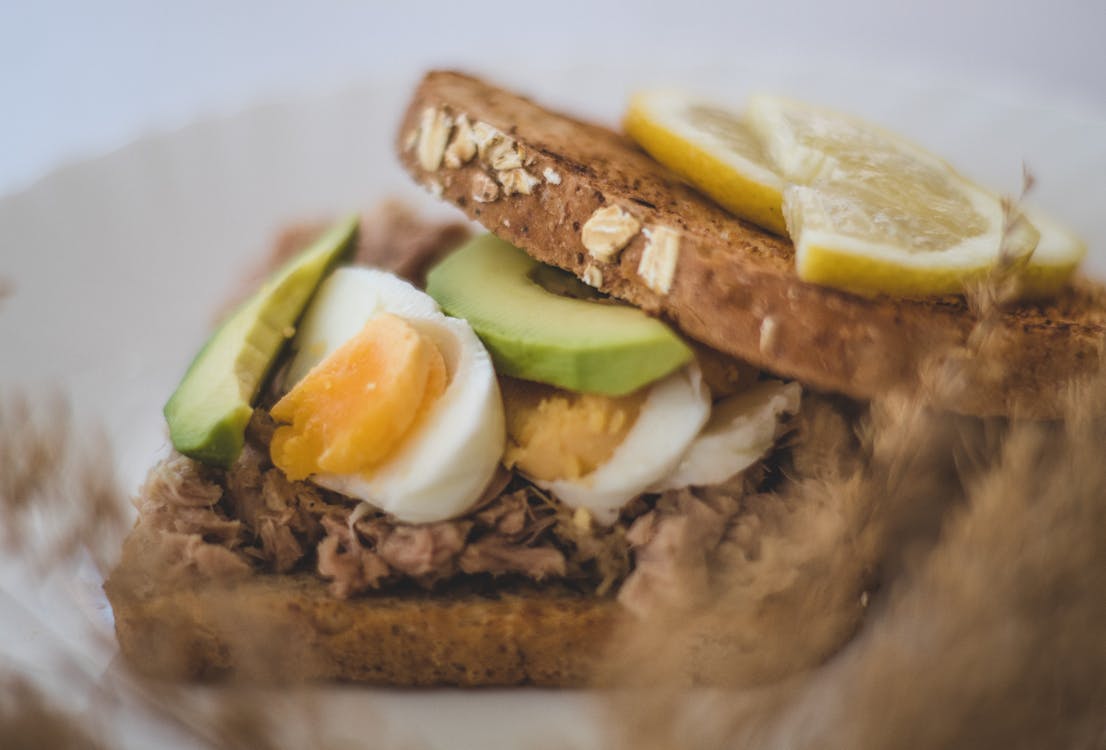 Free Avocado Toast with Boiled Egg and Tuna  Stock Photo