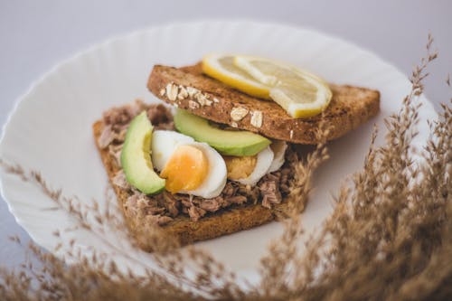 Free Avocado Toast on White Ceramic Plate Stock Photo