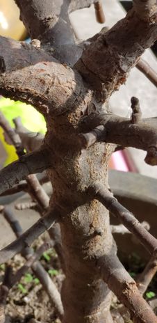 Pro Tips & Troubleshooting