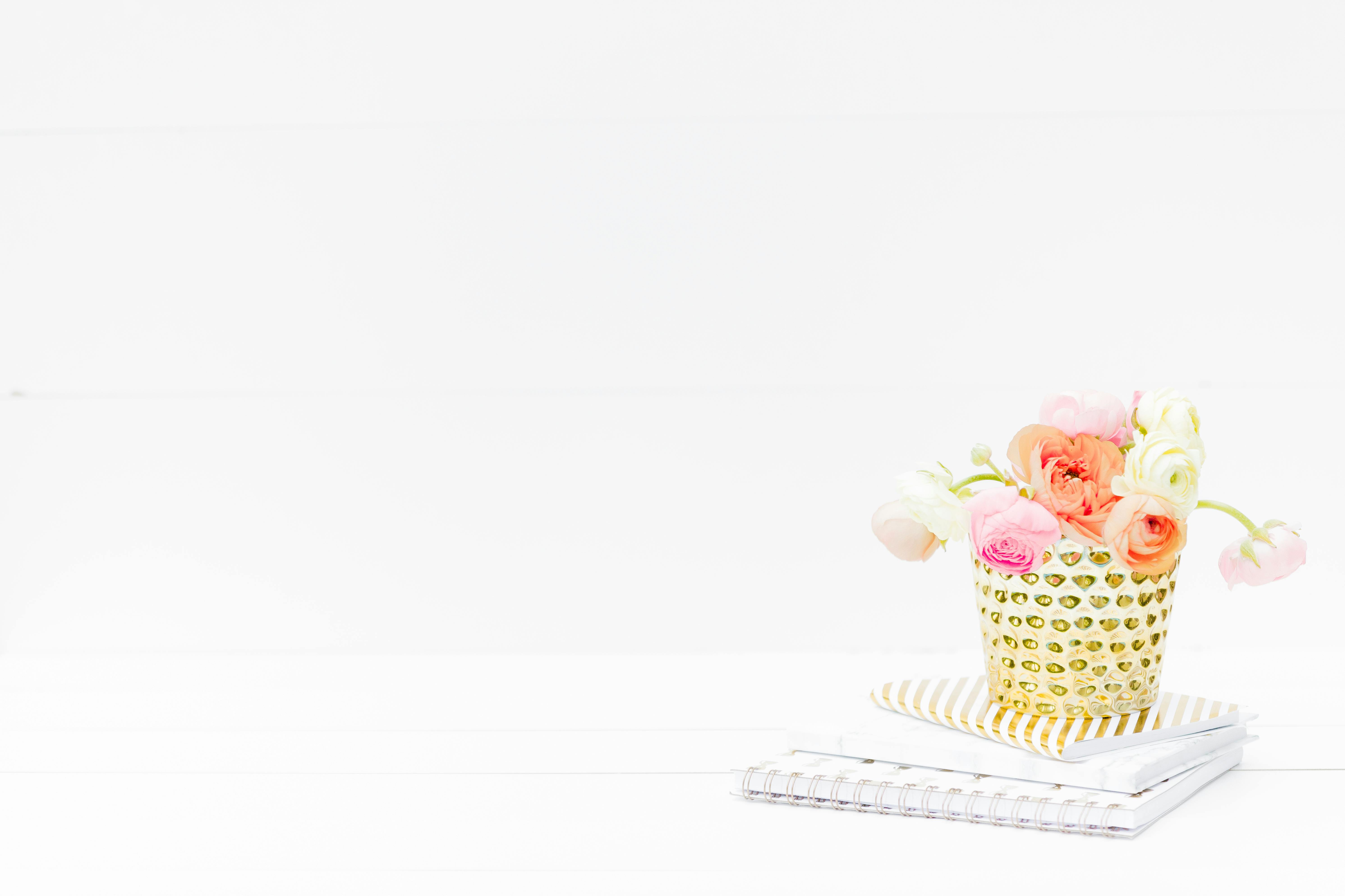 Free Bouquet of Roses on White Background Stock Photo