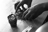 From above of black and white crop anonymous male rolling up joint with weed at table with cup with skull