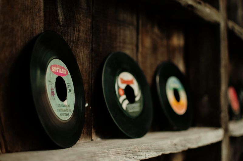 Vinyl singles displayed along a rustic timber shelf