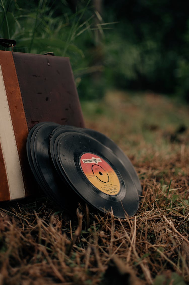 Pile Of Vintage Vinyl Discs And Aged Suitcase On Grassy Meadow