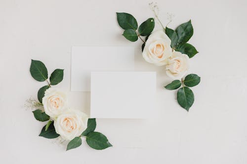 White Roses Beside White Blank Cards