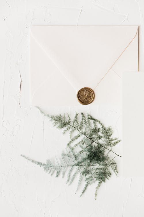 Free Green Pine Tree Leaves on a White Sealed Envelope Stock Photo