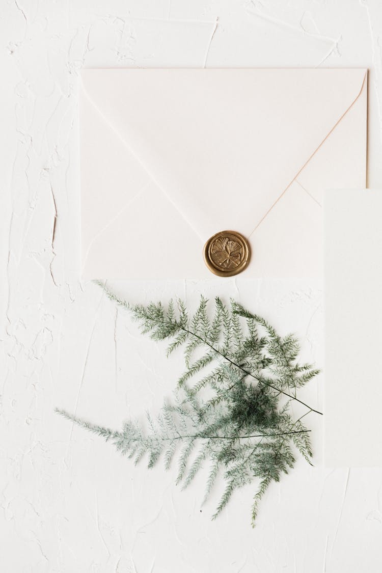 Green Pine Tree Leaves On A White Sealed Envelope