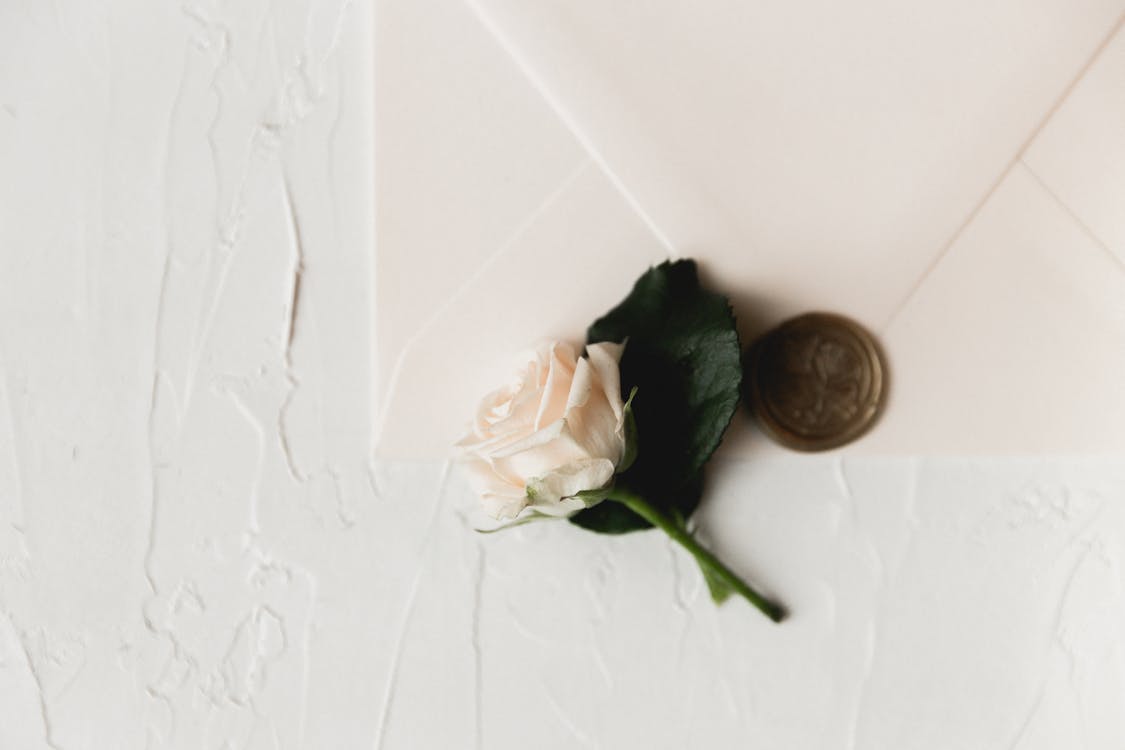 Белая роза на белом столе