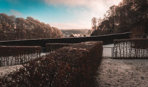 Kostenloses Stock Foto zu belgien, garten, schnee