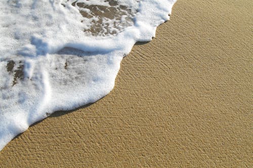 Sea Foam on Brown Sand
