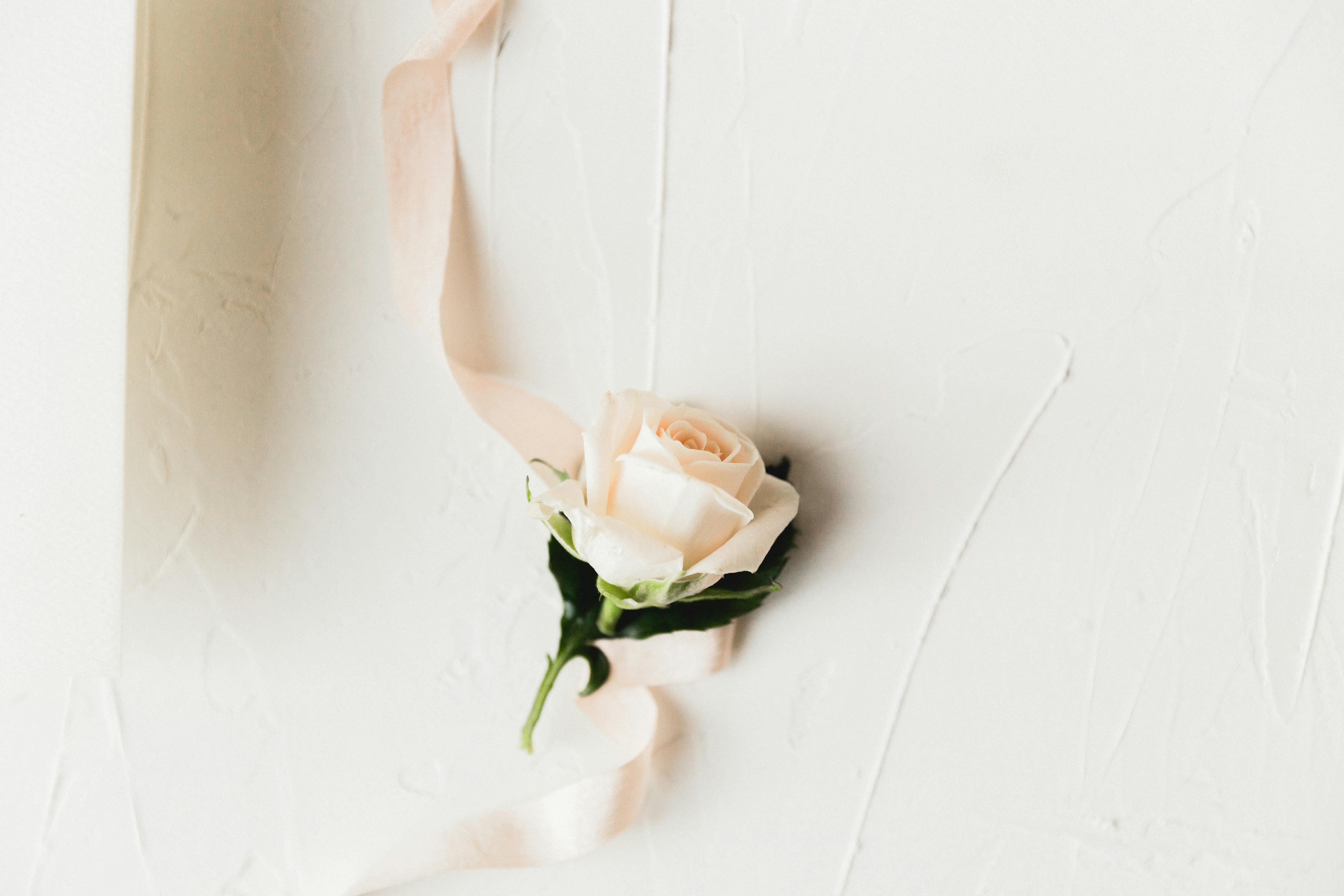 આયુર્વેદિક કામઉત્તેજક શક્તિવર્ધક જડીબુટ્ટીઓનો ઉપયોગ