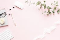 办公桌上平放着一把带键盘的粉红色背景桉树分支