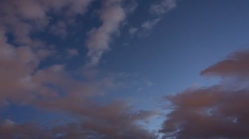 Free stock photo of clouds, dawn, sky