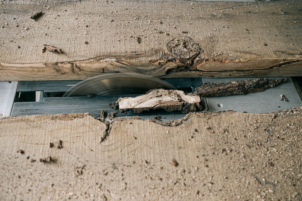 Wooden plank being cut on a table saw with sawdust in the air