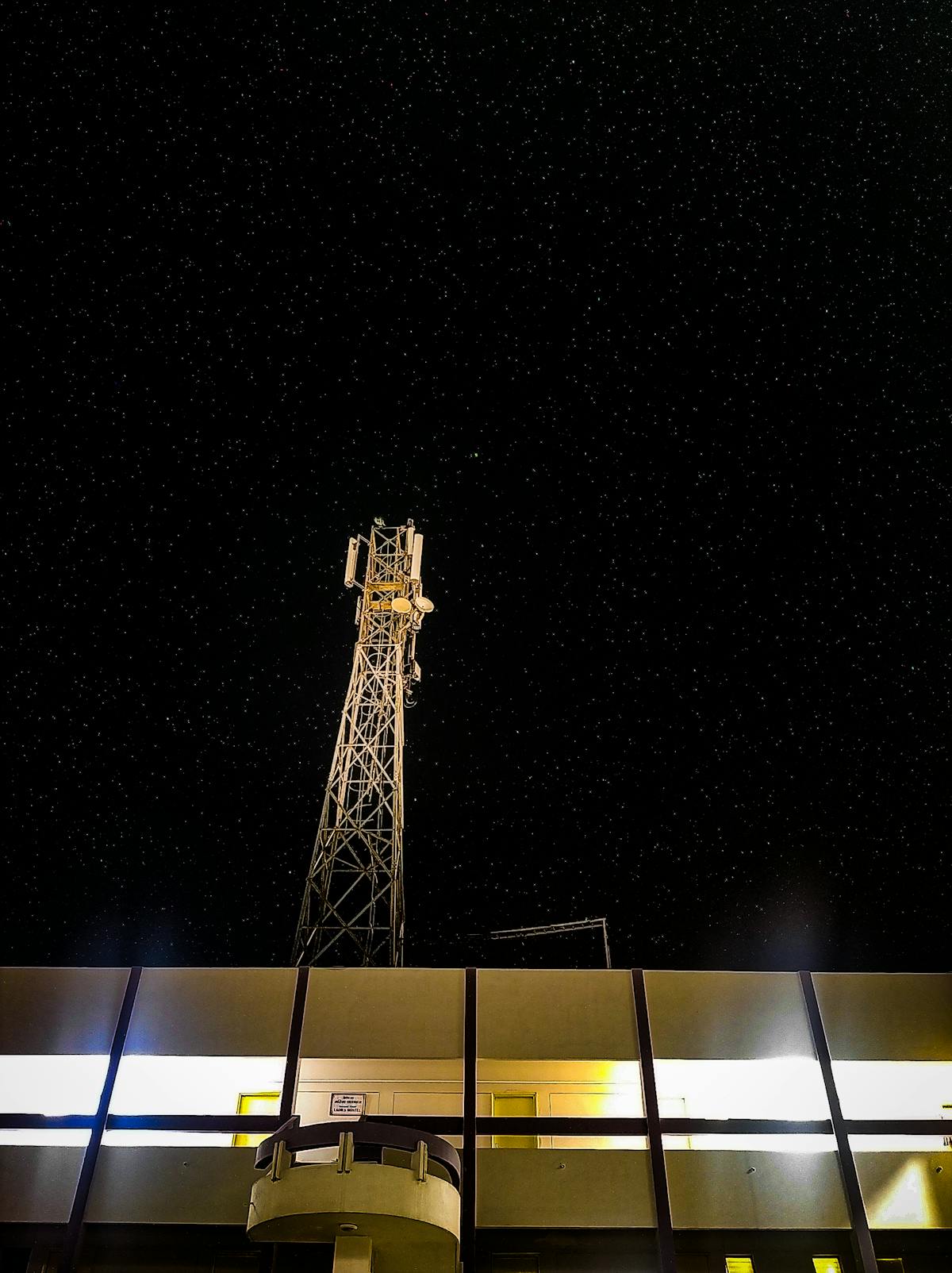 Healthy home cooked meal with vegetables and whole grains on a kitchen counter