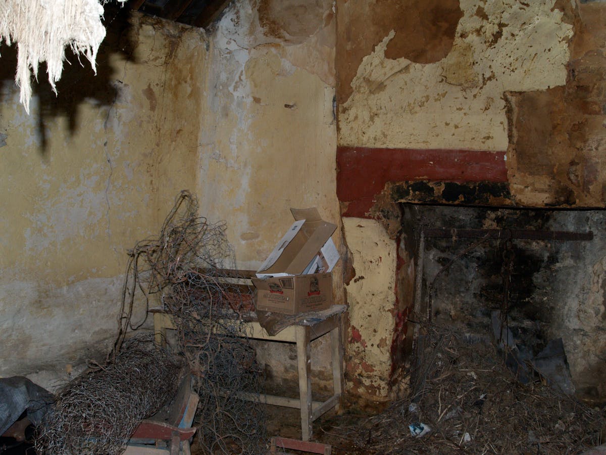 Minimalist desk setup with laptop, plants, and warm lighting