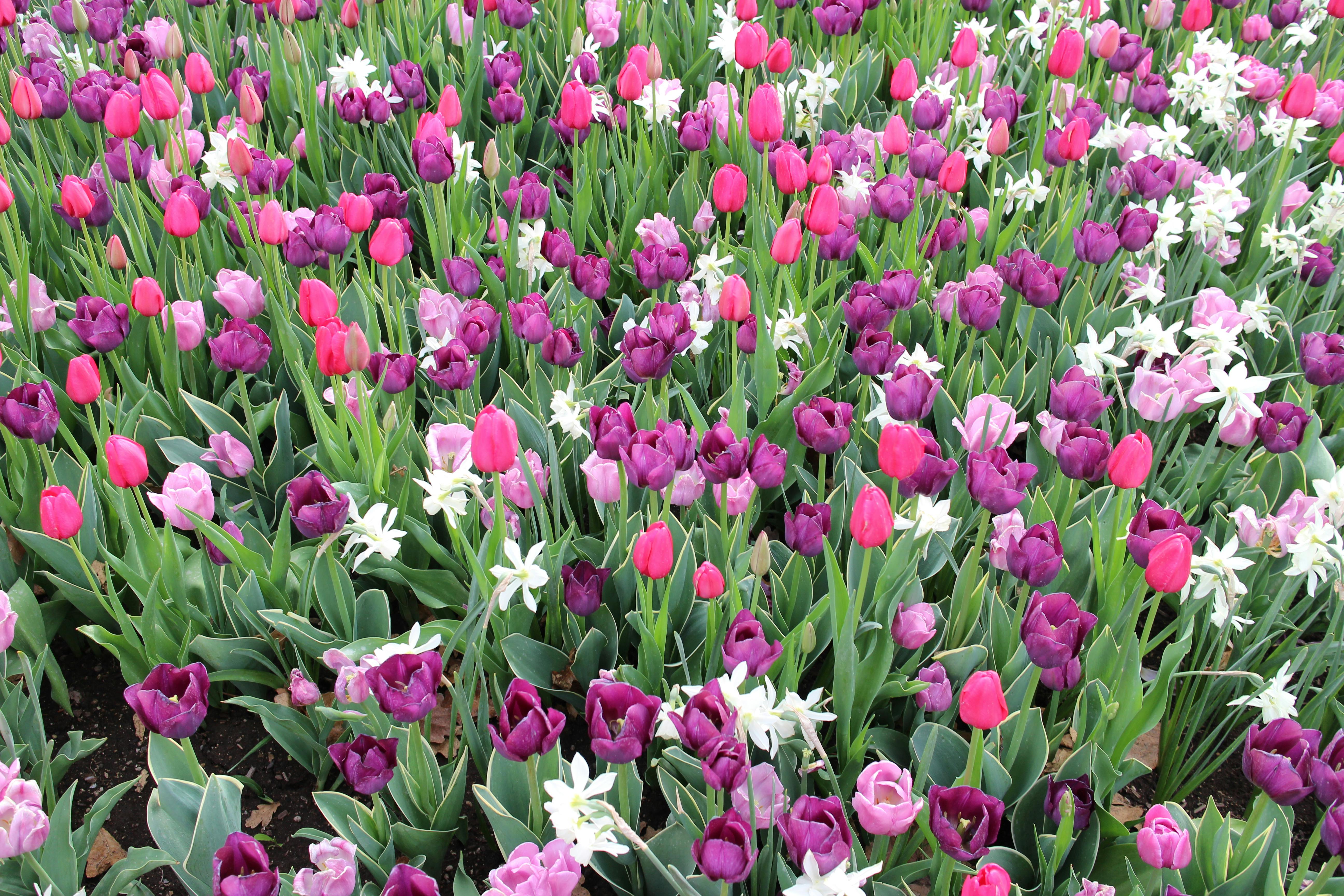 Commercial Warehouse Storage Area with Inventory at Risk