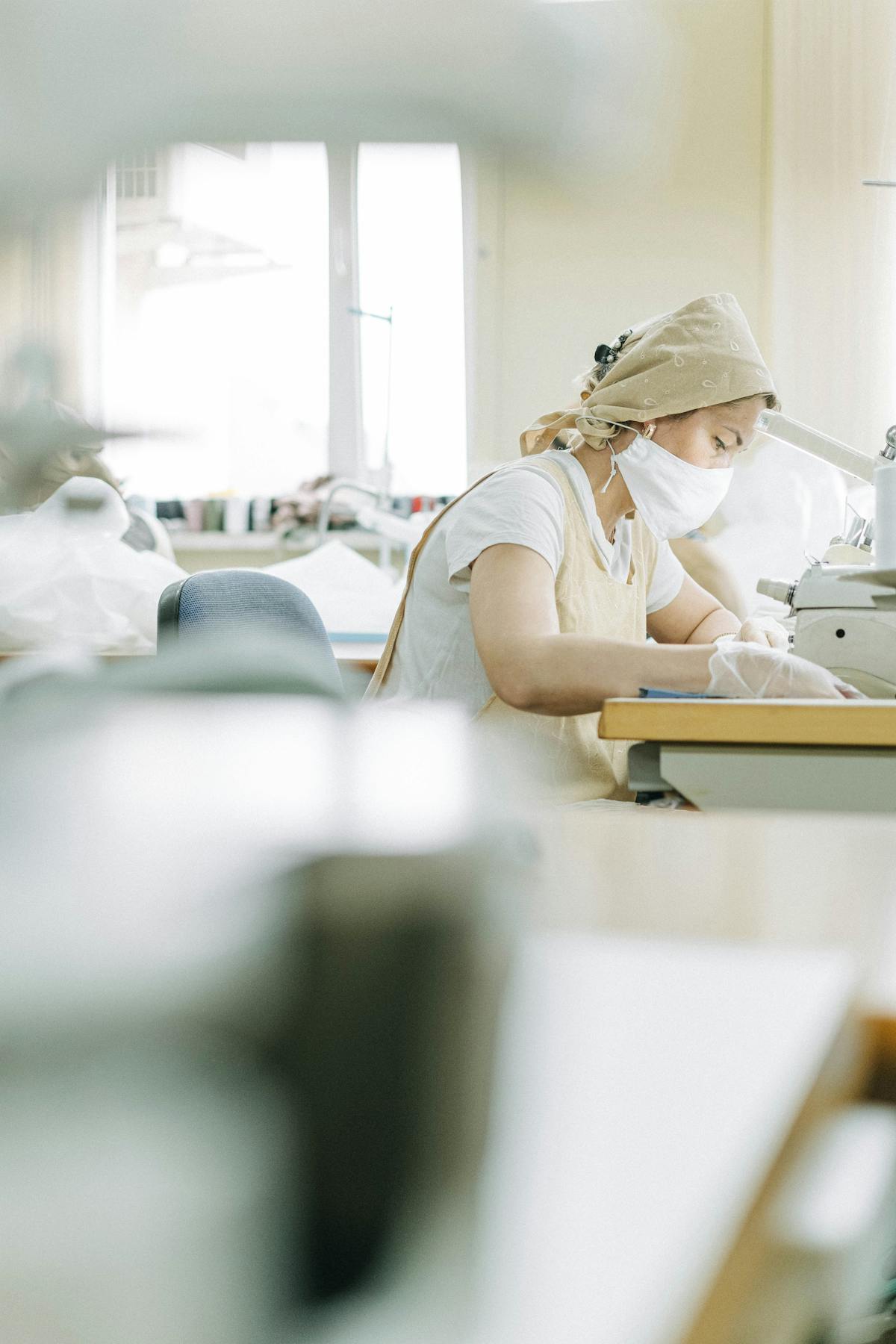 Owner brushing dog's teeth at home