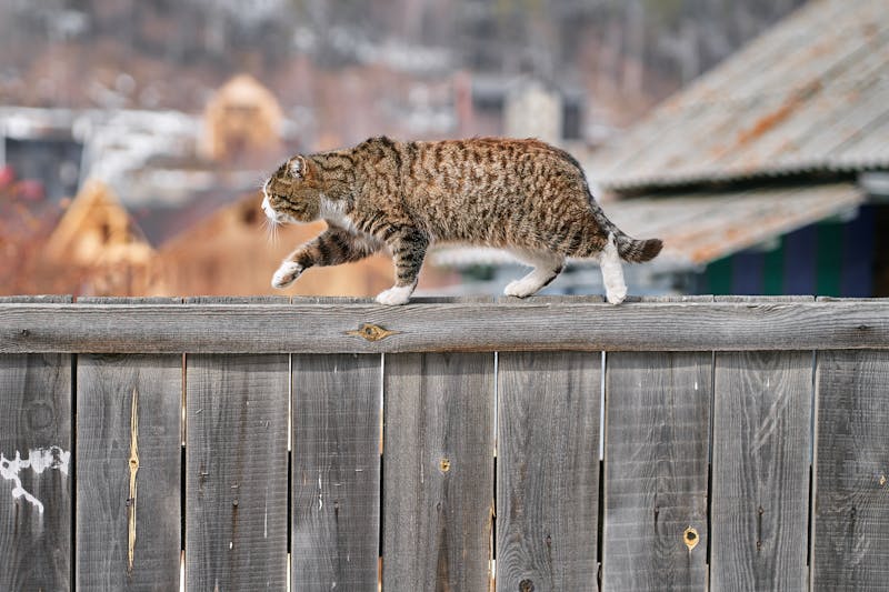 Izolare a surselor de radiație calorică