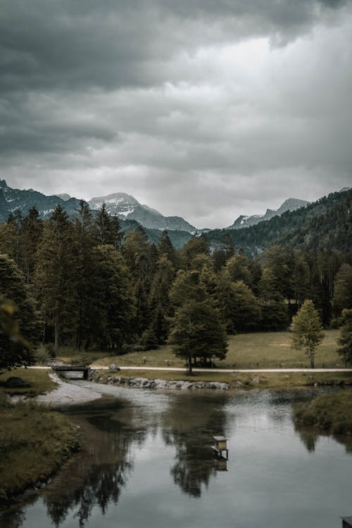 Lush evergreen trees growing on lake shore surrounded by high rocky mountains against cloudy sky