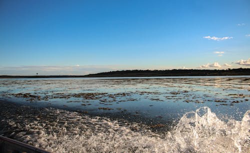 Foto profissional grátis de água, céu azul, lago azul