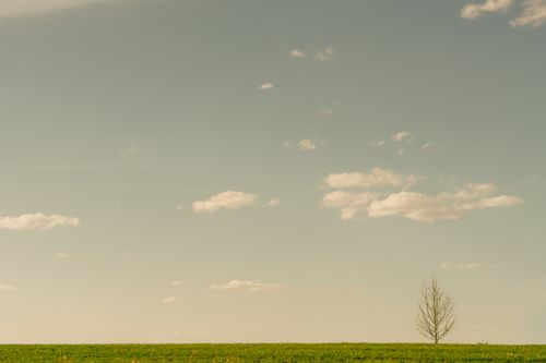 Free stock photo of abstract, alone, art background Stock Photo