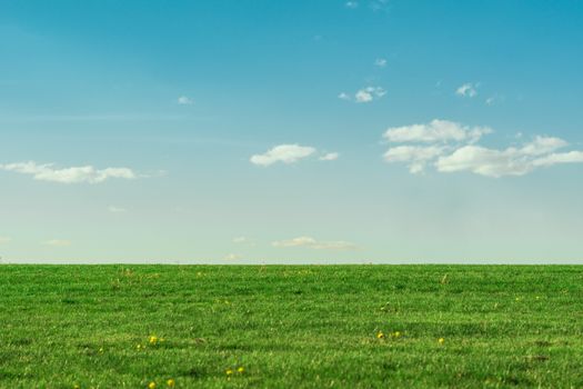 Tranquil, green grassy field under a clear blue sky with white clouds.