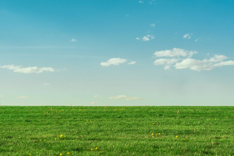 Tranquil, green grassy field under a clear blue sky with white clouds.