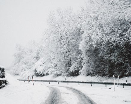 A serene winter landscape featuring a snow-covered road surrounded by frosty trees.