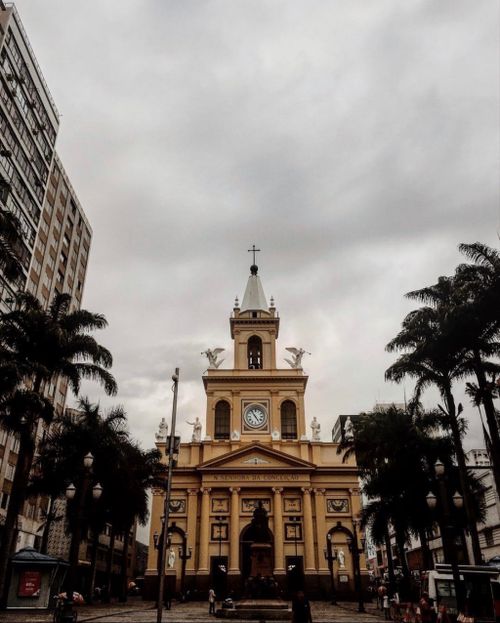 Free Old catholic chapel located at alley with palm trees in city in overcast weather Stock Photo