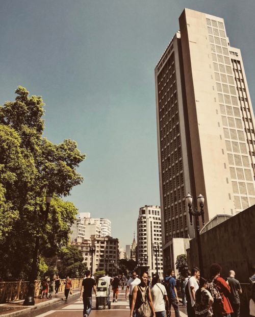 Free Crowded pedestrian street surrounded by trees and skyscrapers against cloudless sky on sunny day Stock Photo
