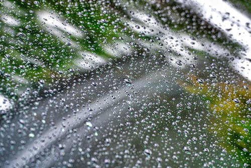 Photos gratuites de fermer, gouttelettes d'eau, gouttes d'eau