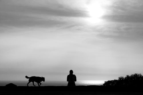 Silhouette of a Person and Dog Standing Near a Seashore