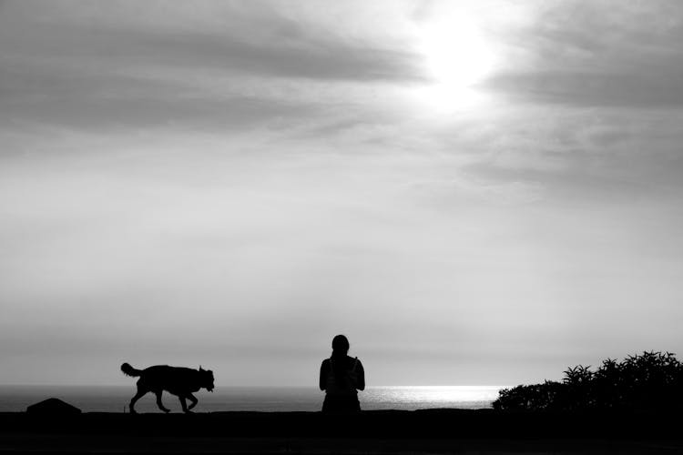 Silhouette Of A Person And Dog Standing Near A Seashore