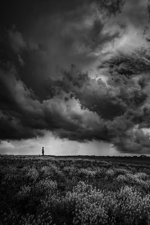 Person Standing on a Field Under Clouds