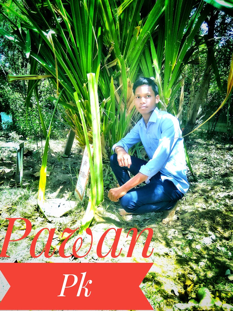 Clean front yard with stone path.