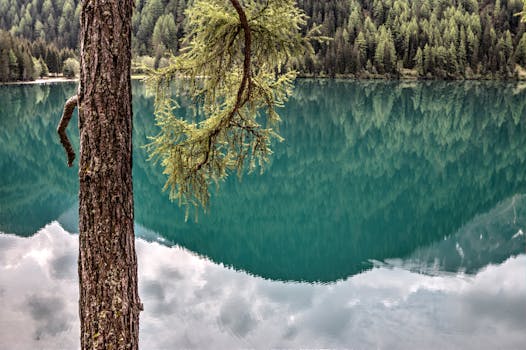 HD wallpaper of landscape, nature, sky, water