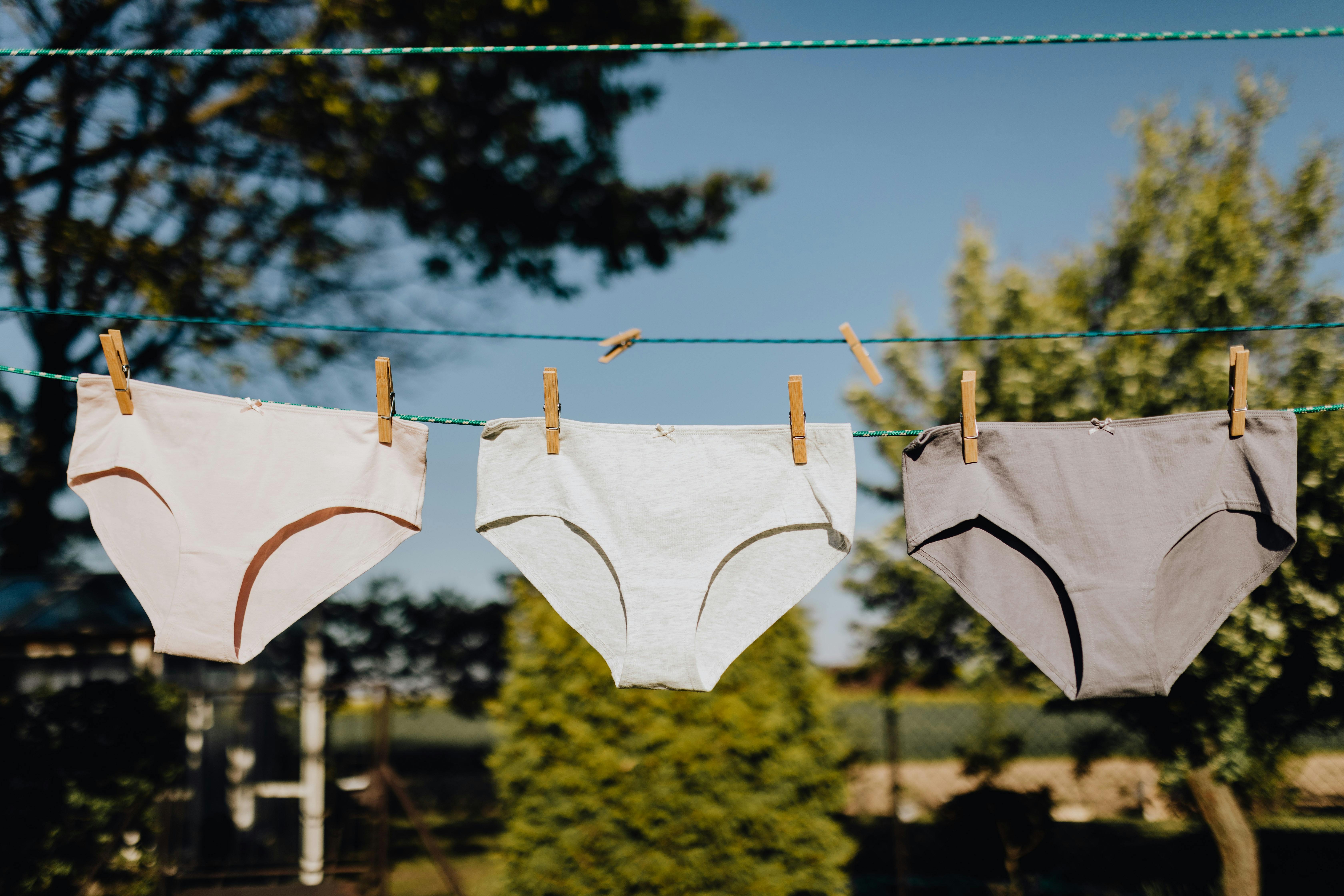 Feminine underwear drying on rope with clothespins on fresh air · Free  Stock Photo