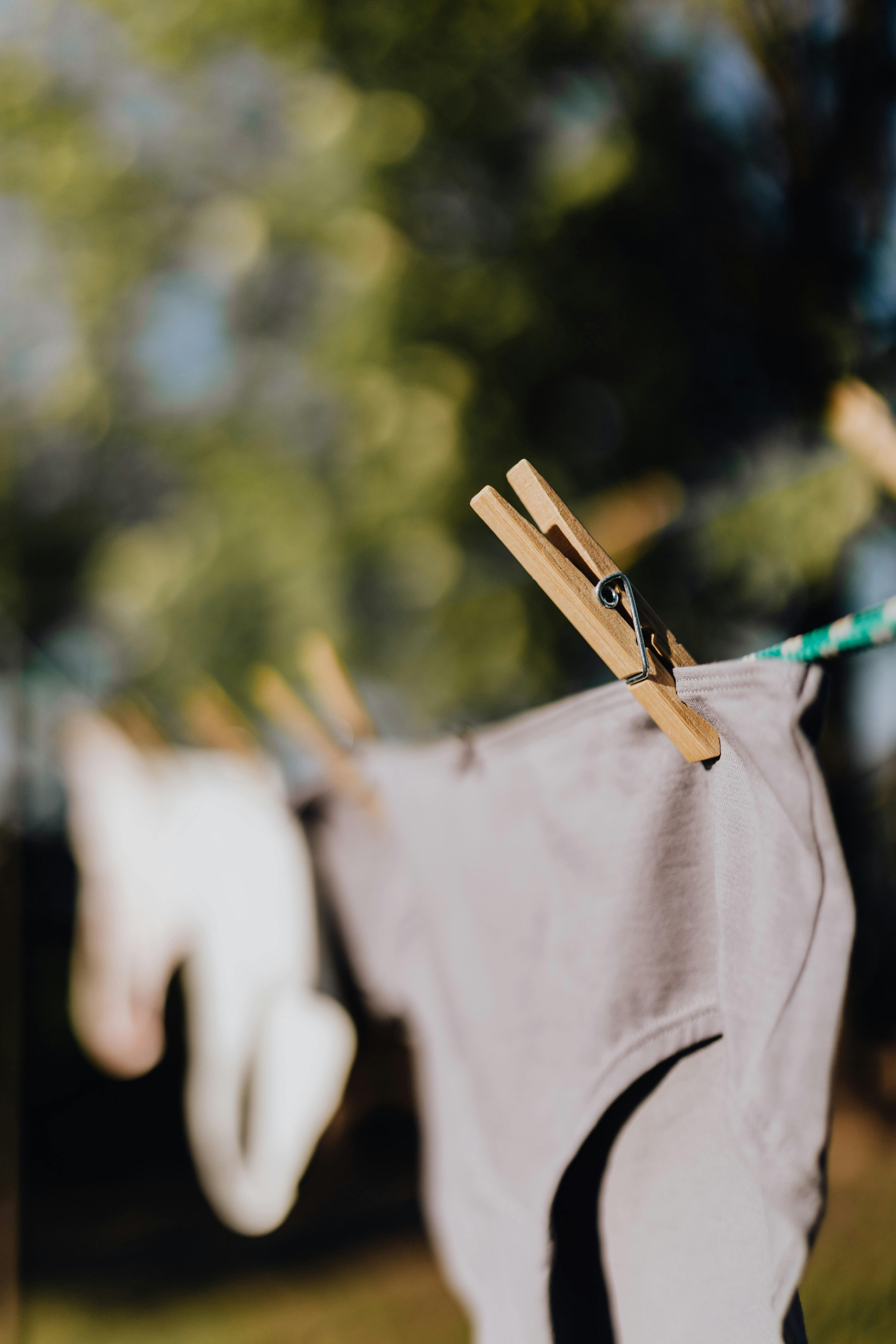 Underwear on rope in garden on sunny day · Free Stock Photo