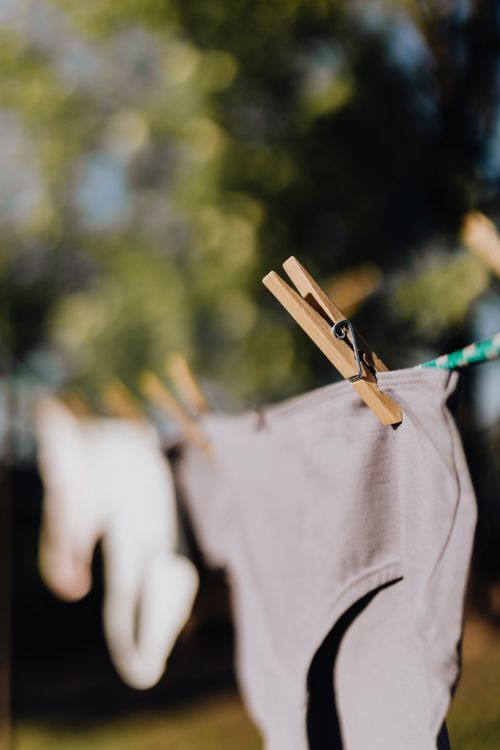 Free Clothesline with clean panties attached with clothespins in yard on sunny summer day in soft focus Stock Photo