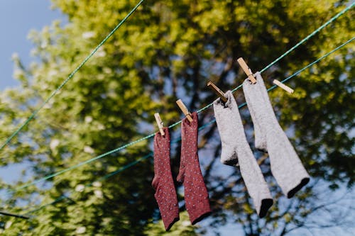 Free From below of multicolored socks hanging and drying on rope in row with clothespins under green branches of tree in sunny summer day Stock Photo
