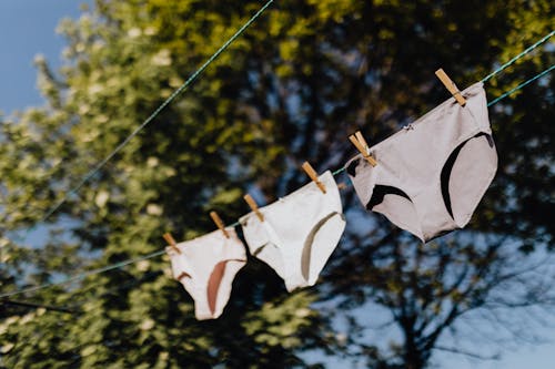 From below of underpants with clothespins hanging on rope opposite green branches of tree on sunny summer day