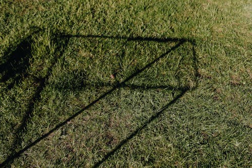 From above of green lawn with abstract shadow drawing on grass on sunny day