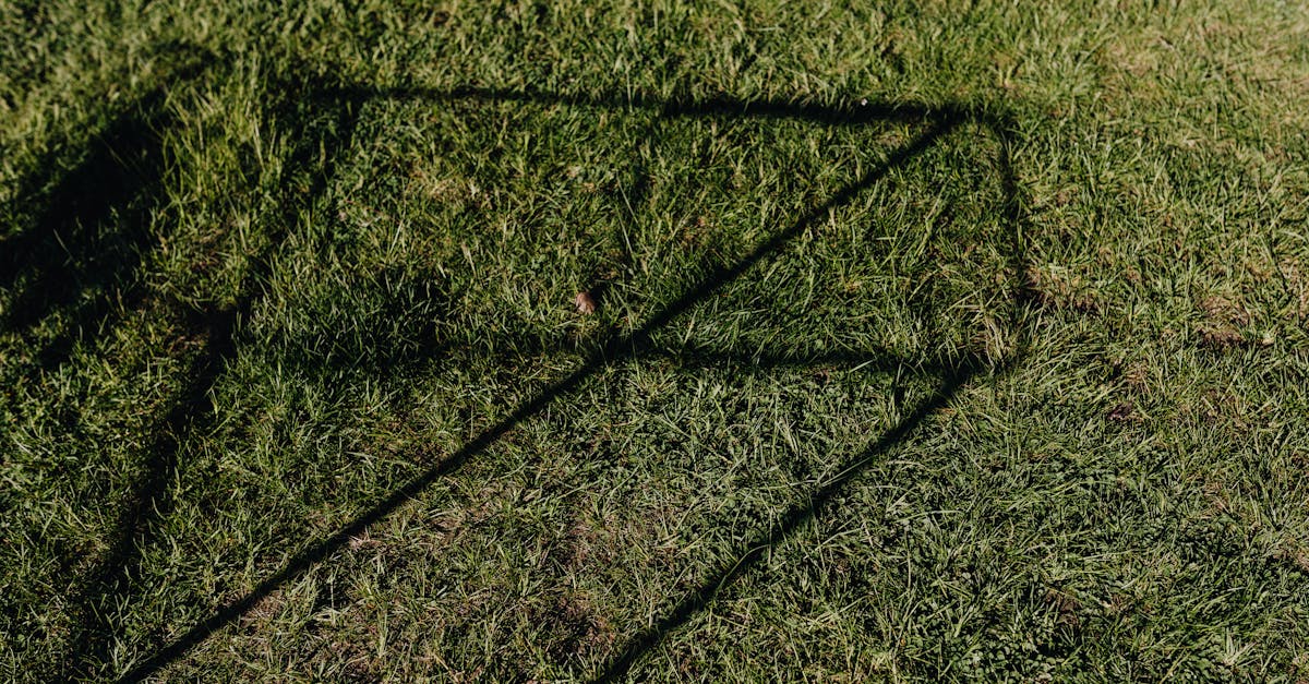 What season does dark die in grass