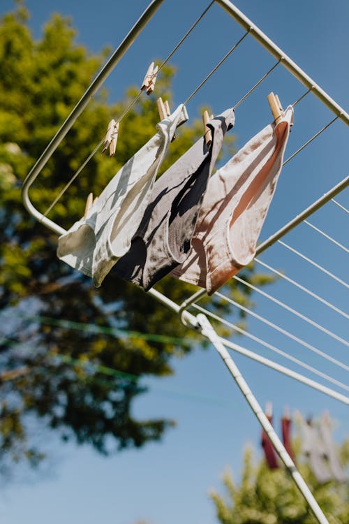 From below of panties hanging on folding clotheshorse under trees against blue sky