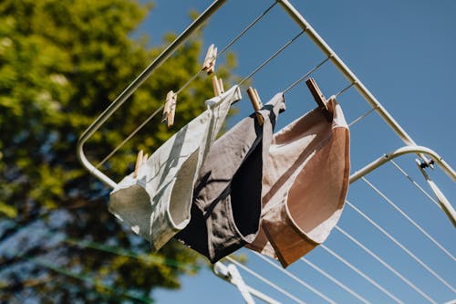 Free From below of different color wet underpants drying on metal collapsible clotheshorse against green branches and blue sky on sunny day Stock Photo