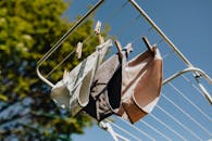 From below of different color wet underpants drying on metal collapsible clotheshorse against green branches and blue sky on sunny day