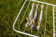 From above of metal folding clotheshorse placed on green grass with hanging on rail underwear