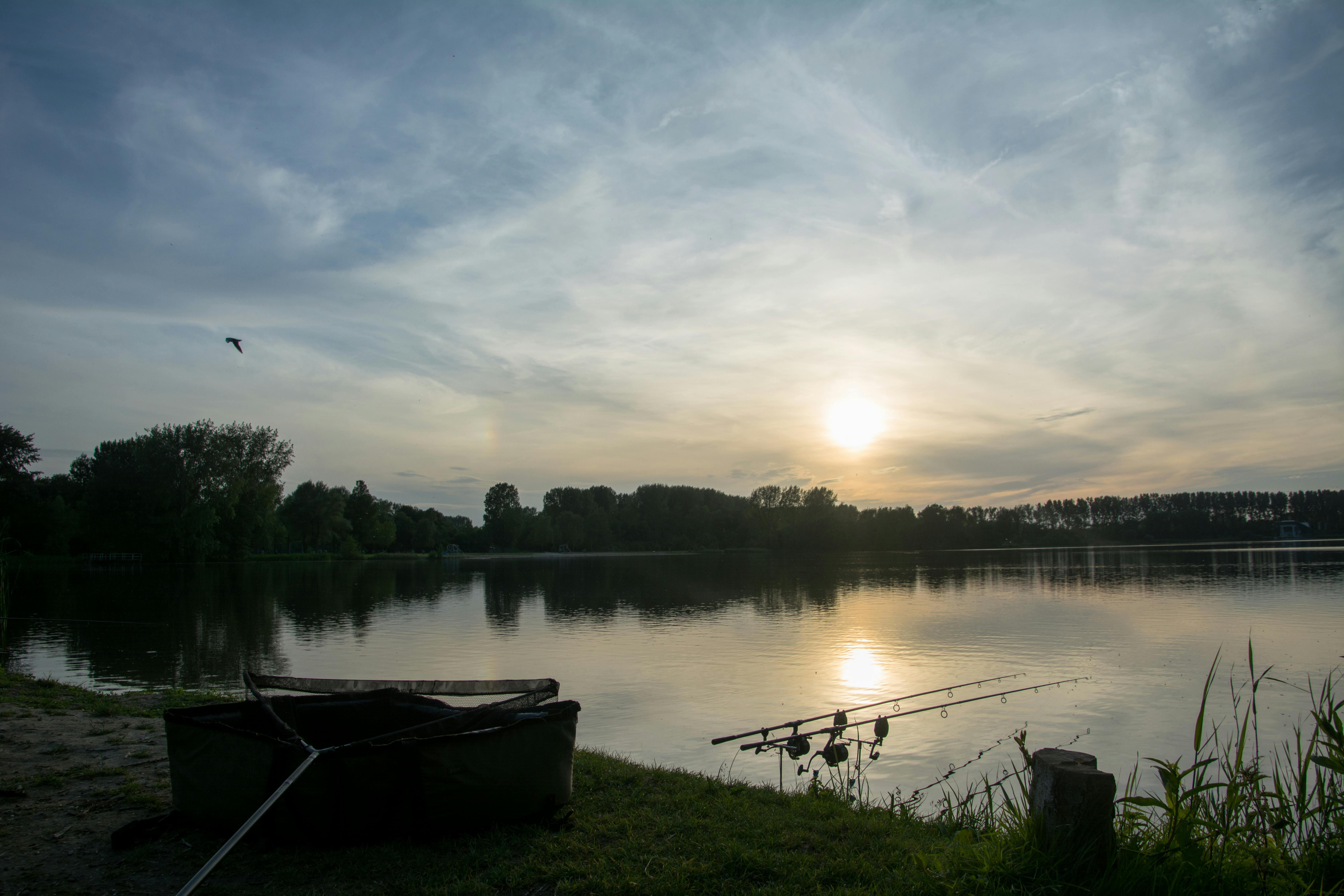 Free stock photo of carp fishing, carpfishing, night fishing - 6000 x 4000 jpeg 2336kB