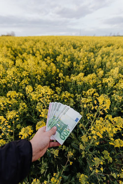 Unrecognizable man with money on field