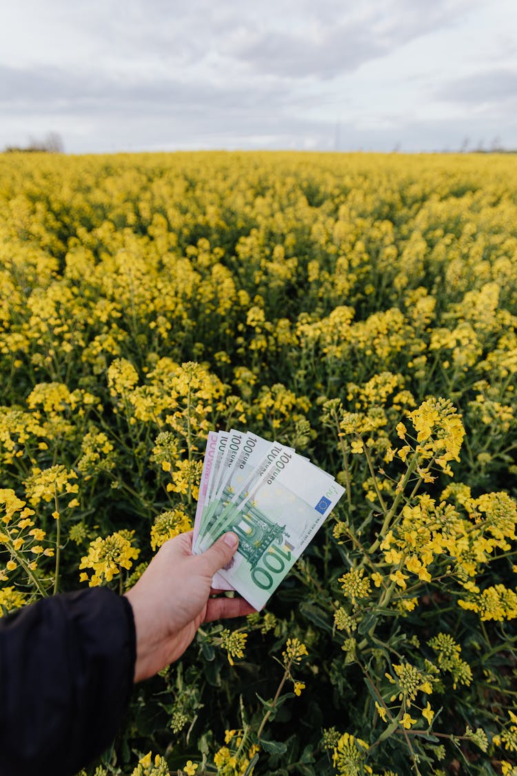 Unrecognizable Man With Money On Field